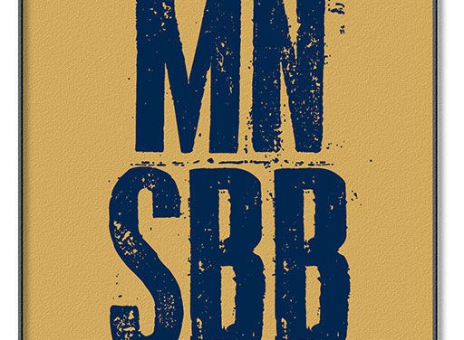Welcome to MN Sports Biz Blog